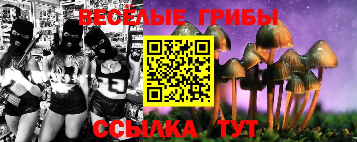 Галлюциногенные грибы прущие грибы Ирбит