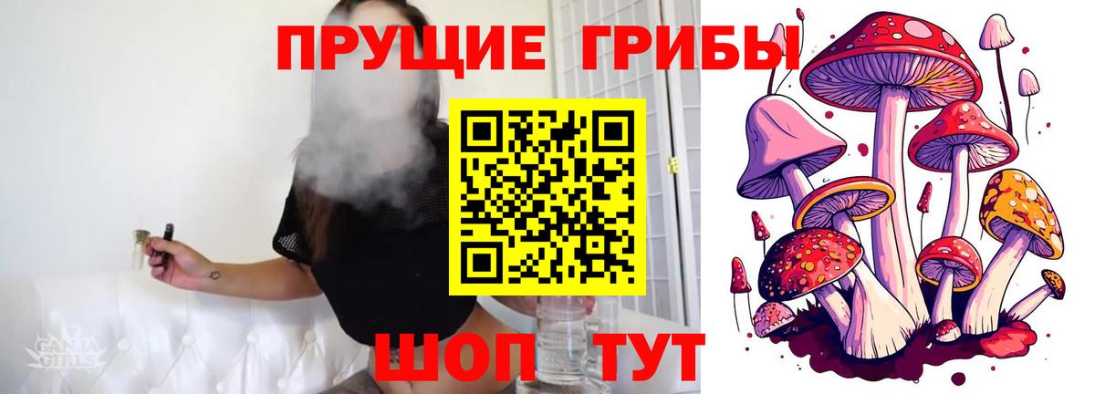 Галлюциногенные грибы прущие грибы  Вход с VPN  Ирбит 
