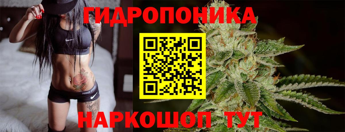 Бошки марихуана планчик Ирбит